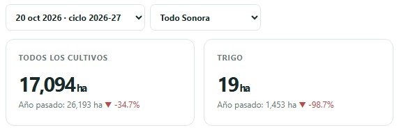 Intención de siembra en Sonora al 20 de octubre de 2026